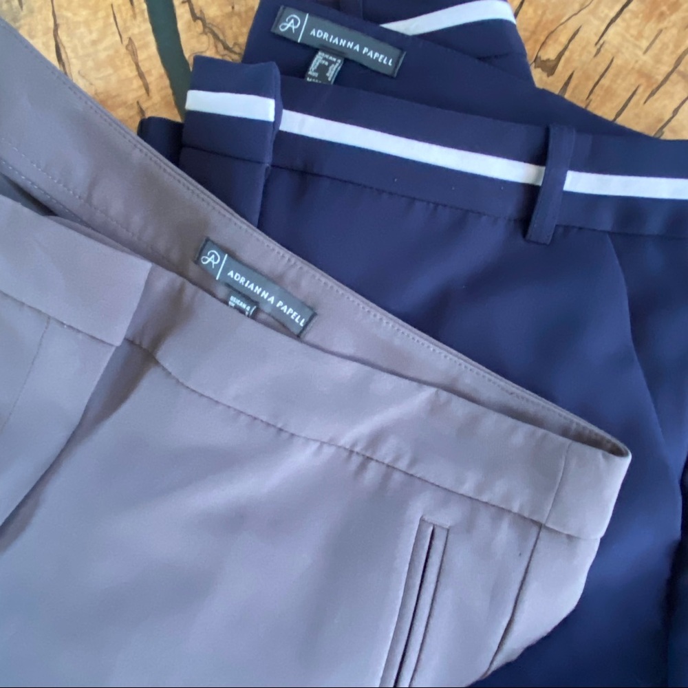 Adrianna Papell Kate Fit Dress Pants Bundle